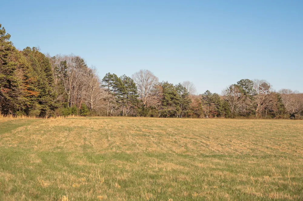 12733 Jones Gap Road Soddy Daisy, TN 37379