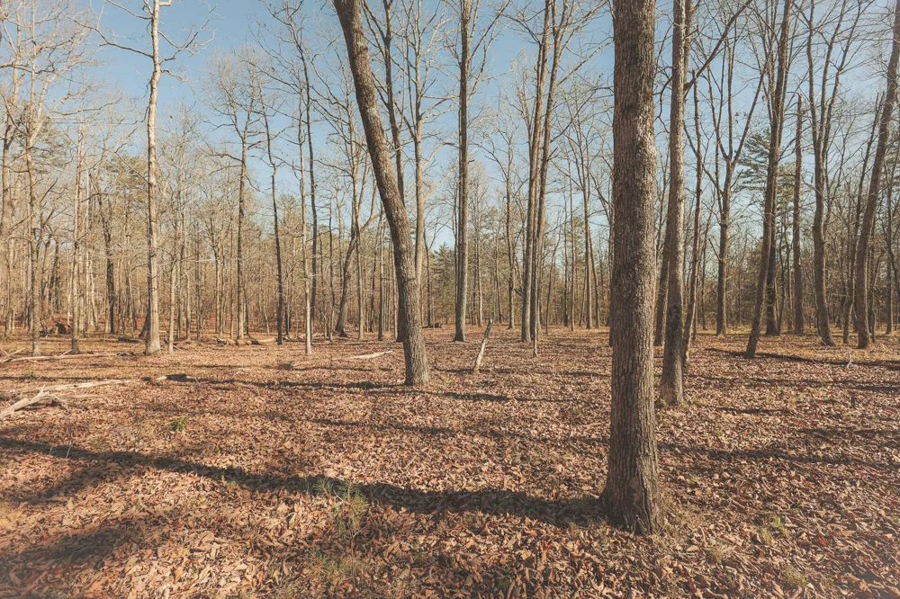 12733 Jones Gap Road Soddy Daisy, TN 37379