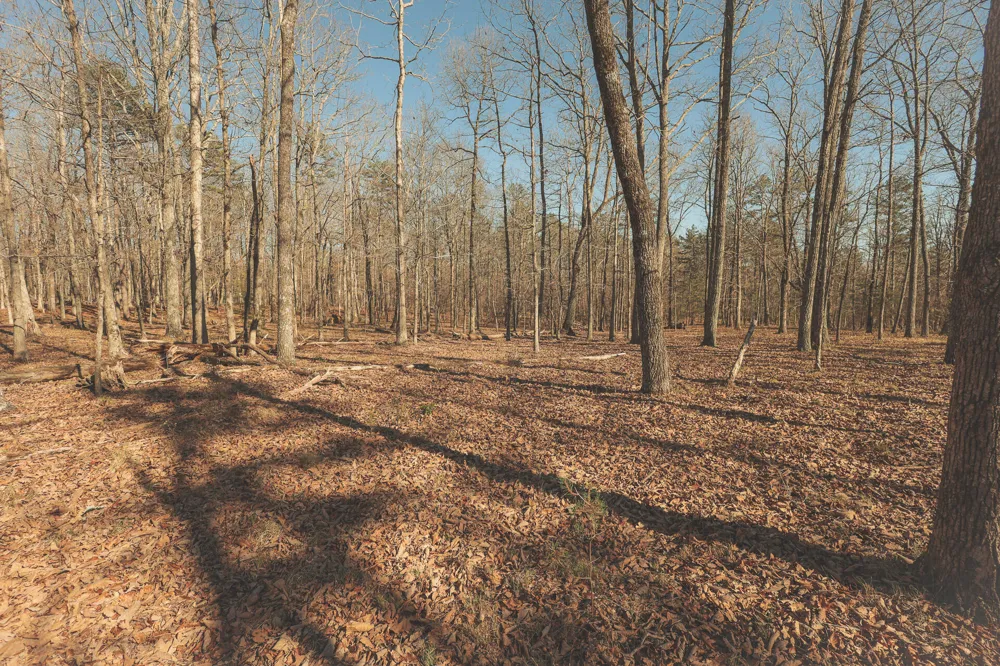 12733 Jones Gap Road Soddy Daisy, TN 37379