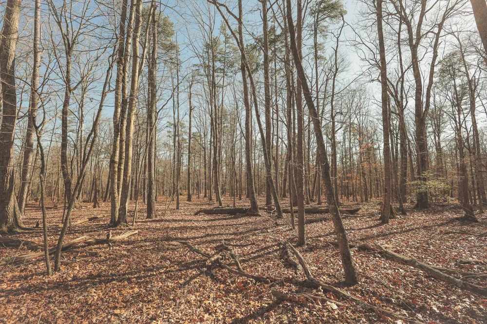 12733 Jones Gap Road Soddy Daisy, TN 37379