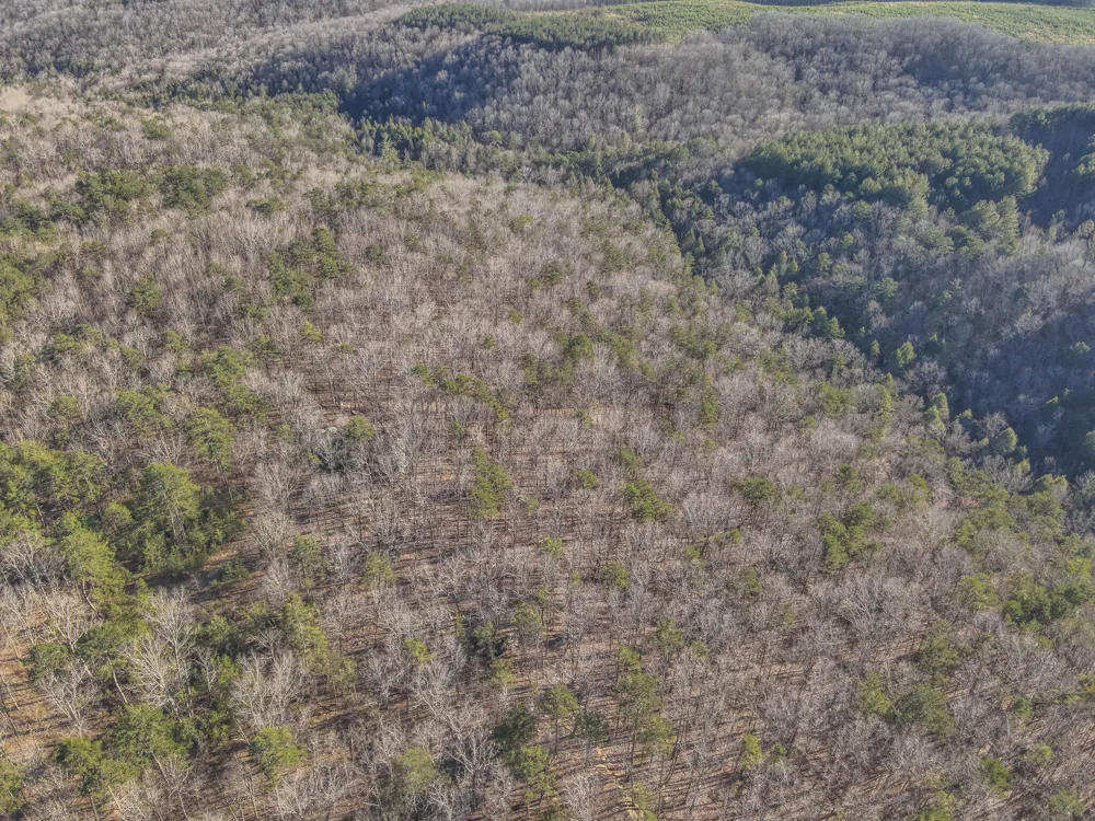 12733 Jones Gap Road Soddy Daisy, TN 37379