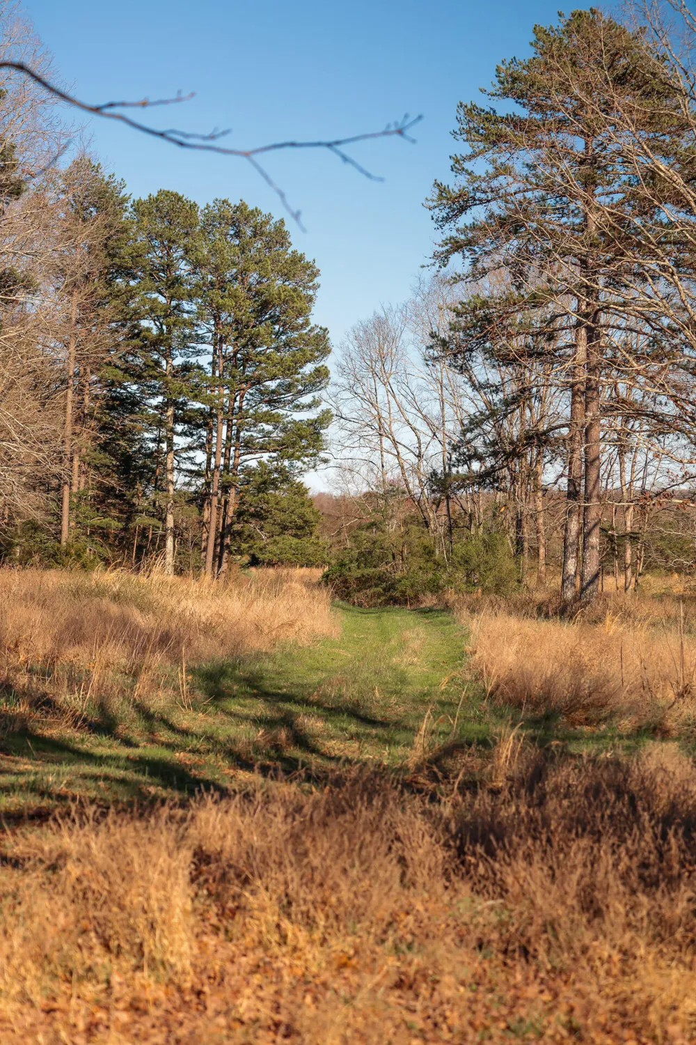 12733 Jones Gap Road Soddy Daisy, TN 37379
