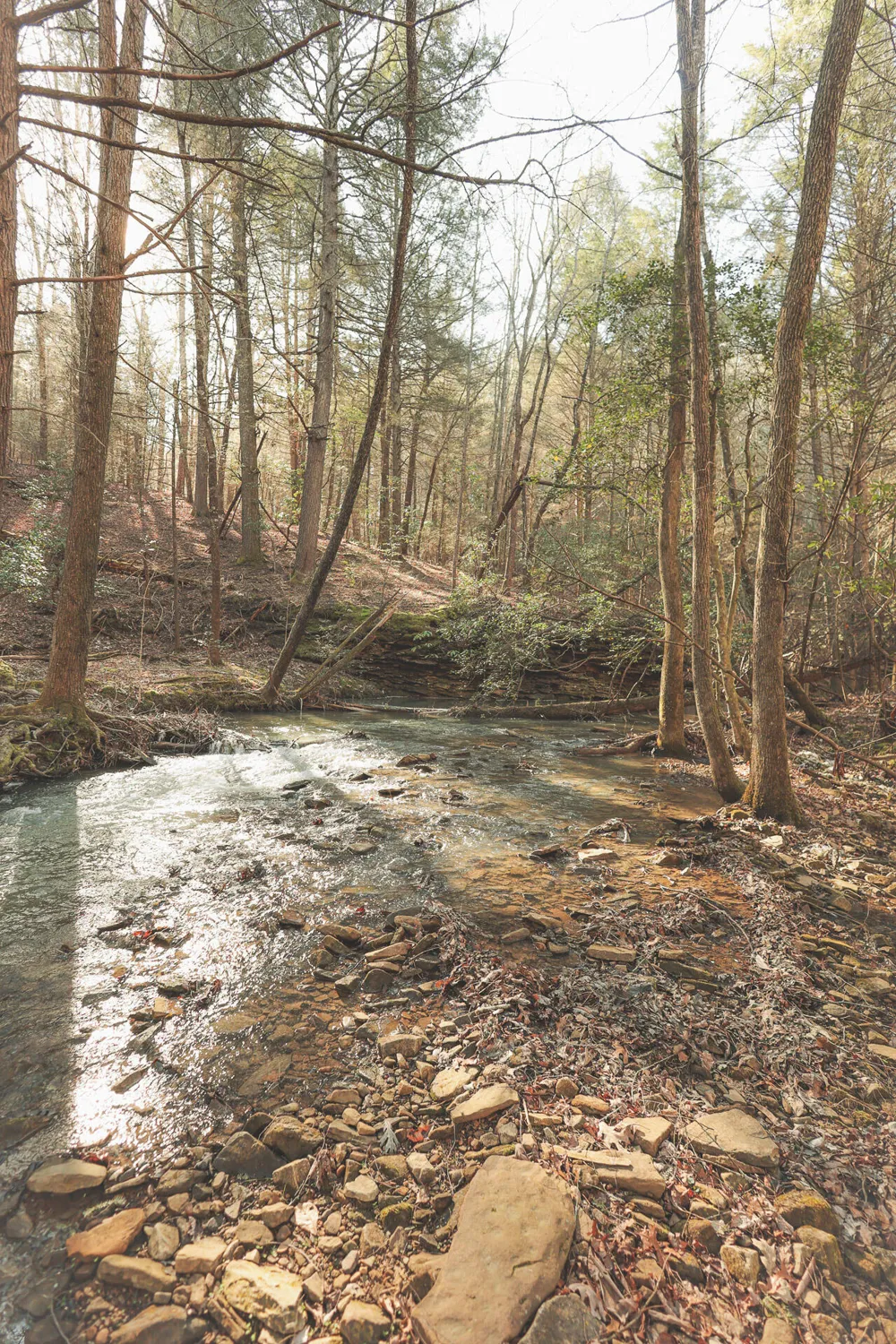 12733 Jones Gap Road Soddy Daisy, TN 37379