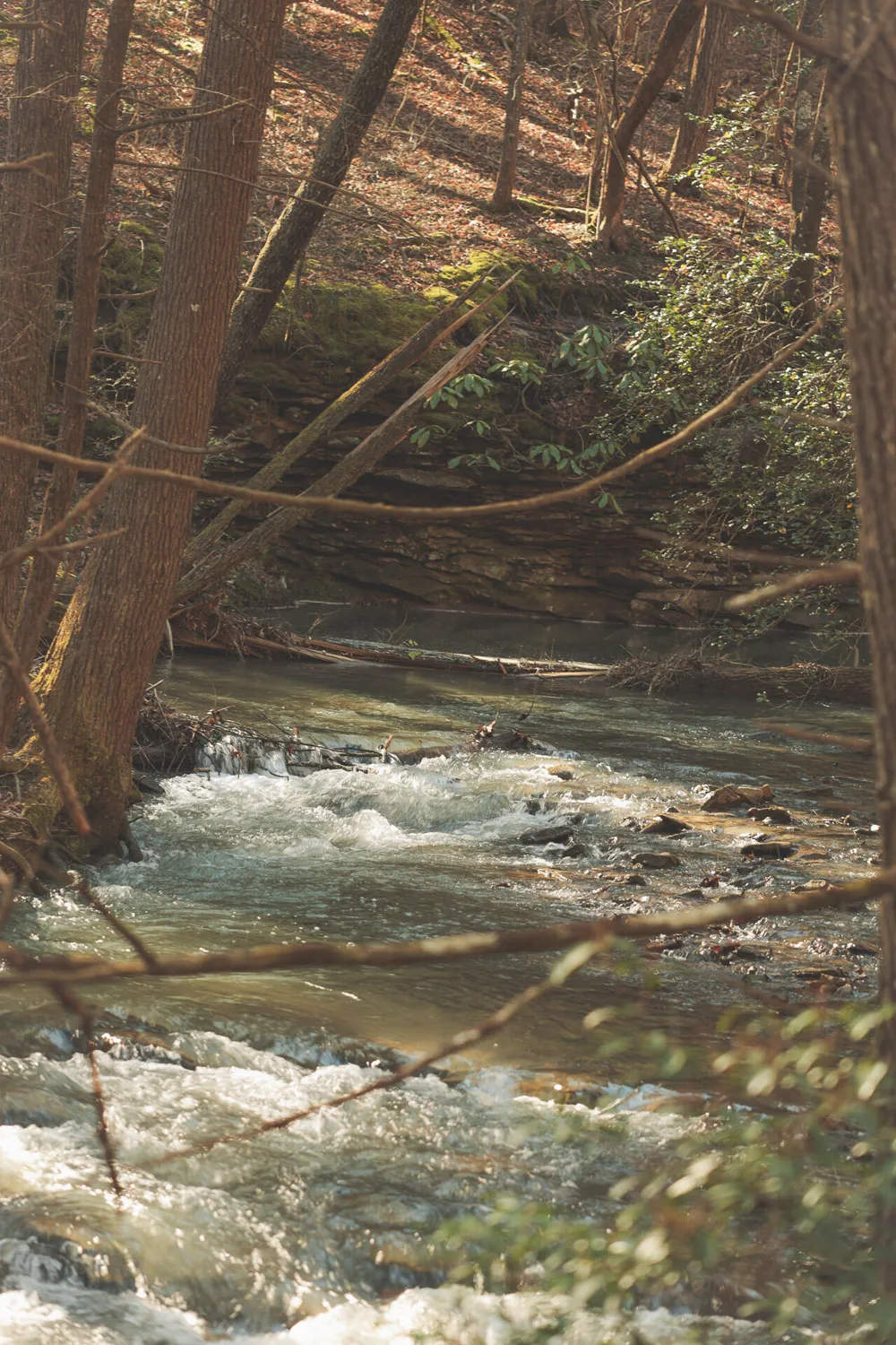 12733 Jones Gap Road Soddy Daisy, TN 37379