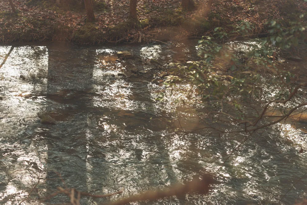 12733 Jones Gap Road Soddy Daisy, TN 37379