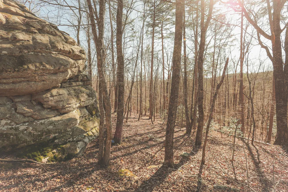 12733 Jones Gap Road Soddy Daisy, TN 37379