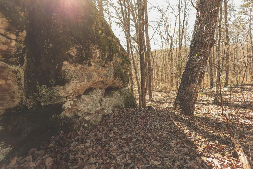 12733 Jones Gap Road Soddy Daisy, TN 37379