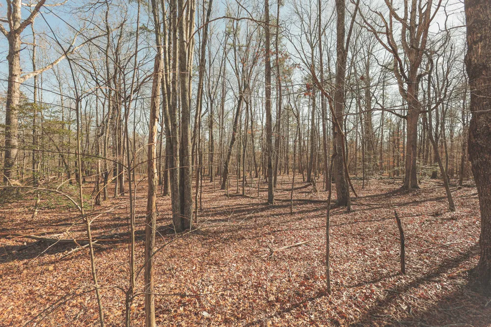 12733 Jones Gap Road Soddy Daisy, TN 37379