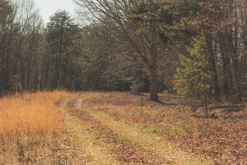 12733 Jones Gap Road Soddy Daisy, TN 37379