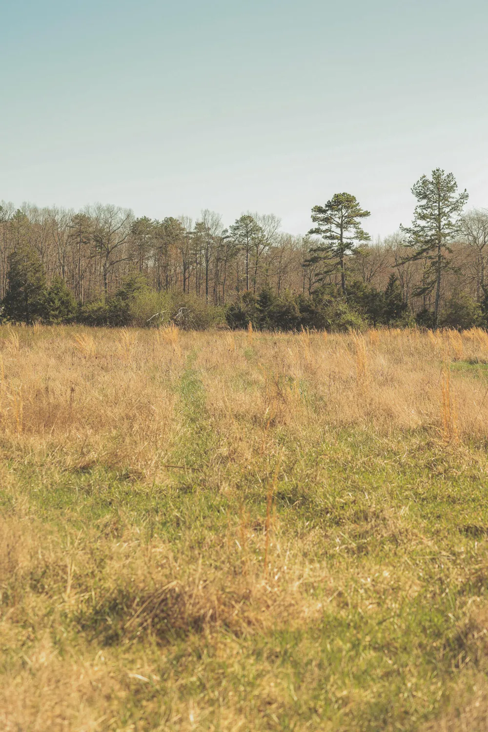 12733 Jones Gap Road Soddy Daisy, TN 37379