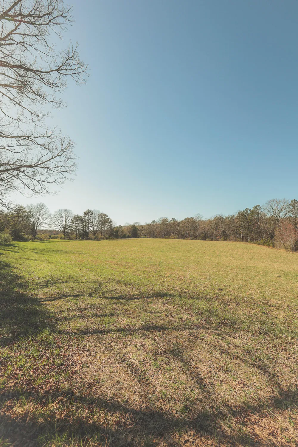 12733 Jones Gap Road Soddy Daisy, TN 37379
