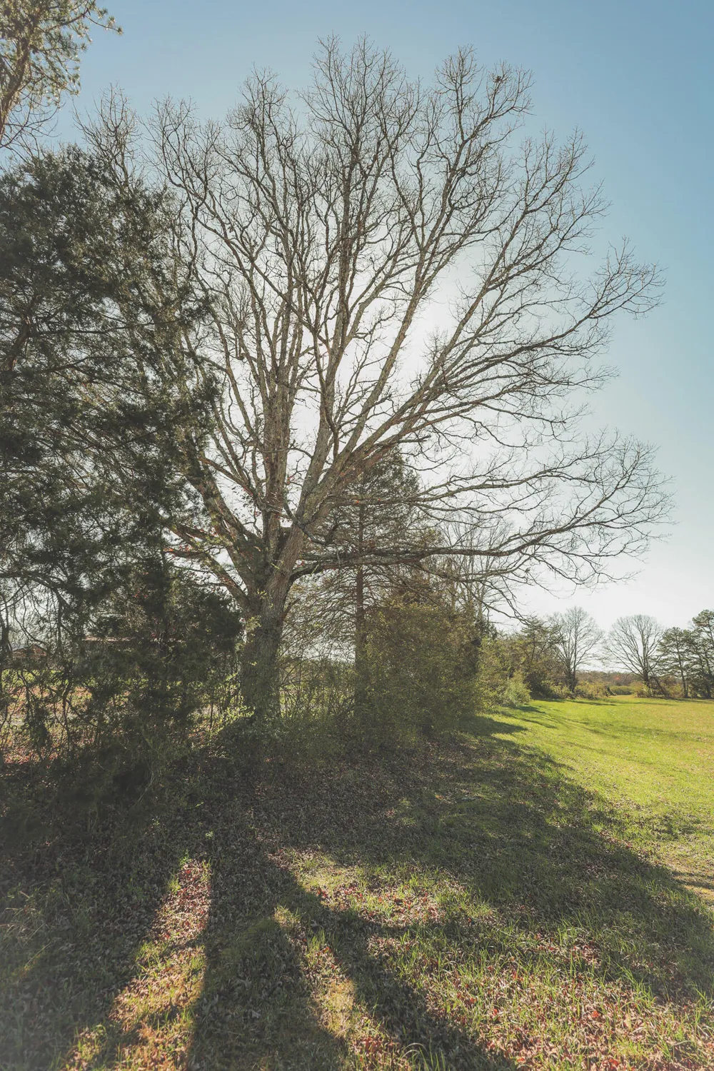 12733 Jones Gap Road Soddy Daisy, TN 37379