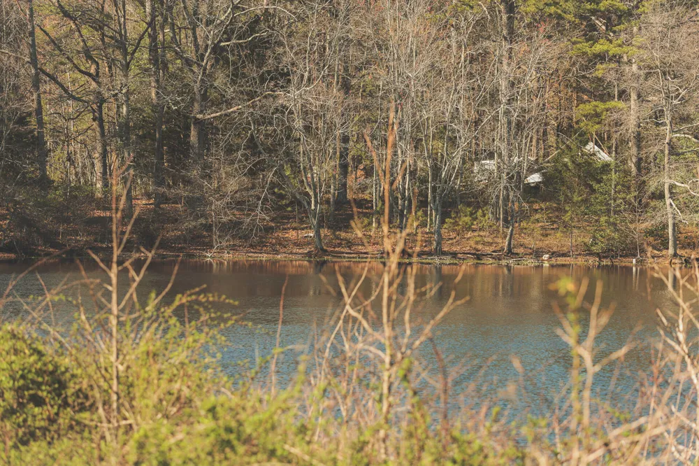 12733 Jones Gap Road Soddy Daisy, TN 37379