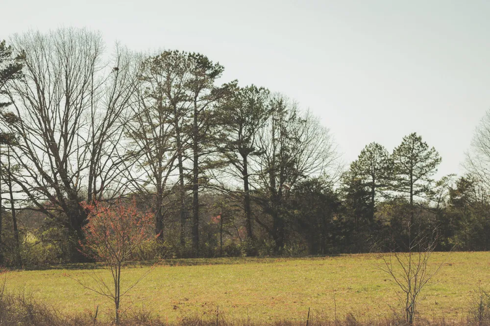 12733 Jones Gap Road Soddy Daisy, TN 37379