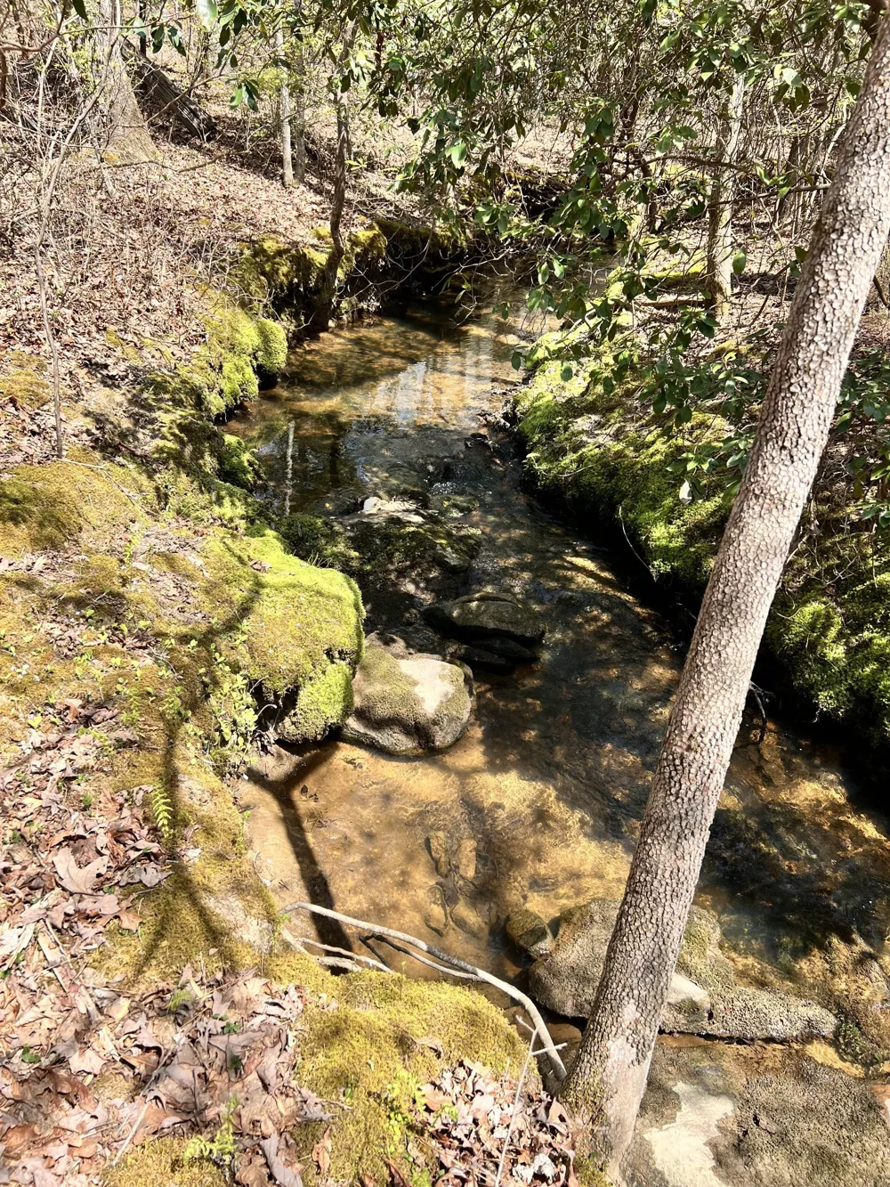 72 Lady Slipper Lane Monteagle, TN 37356