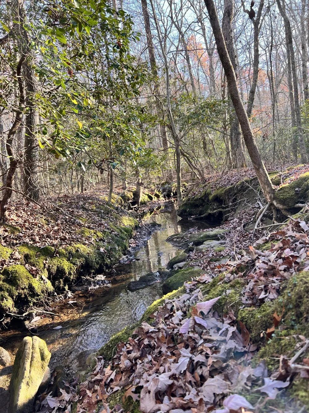 72 Lady Slipper Lane Monteagle, TN 37356