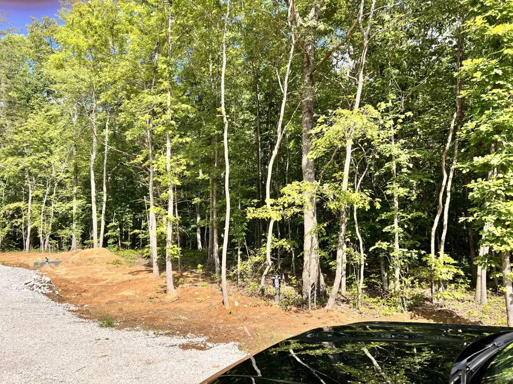 72 Lady Slipper Lane Monteagle, TN 37356
