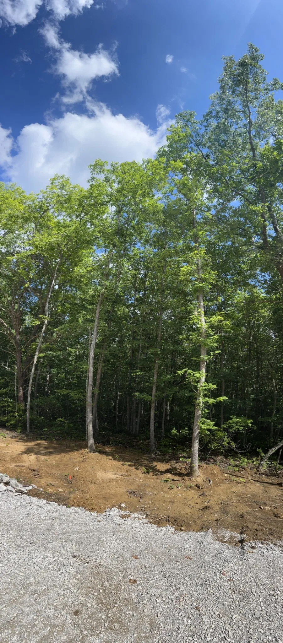 72 Lady Slipper Lane Monteagle, TN 37356