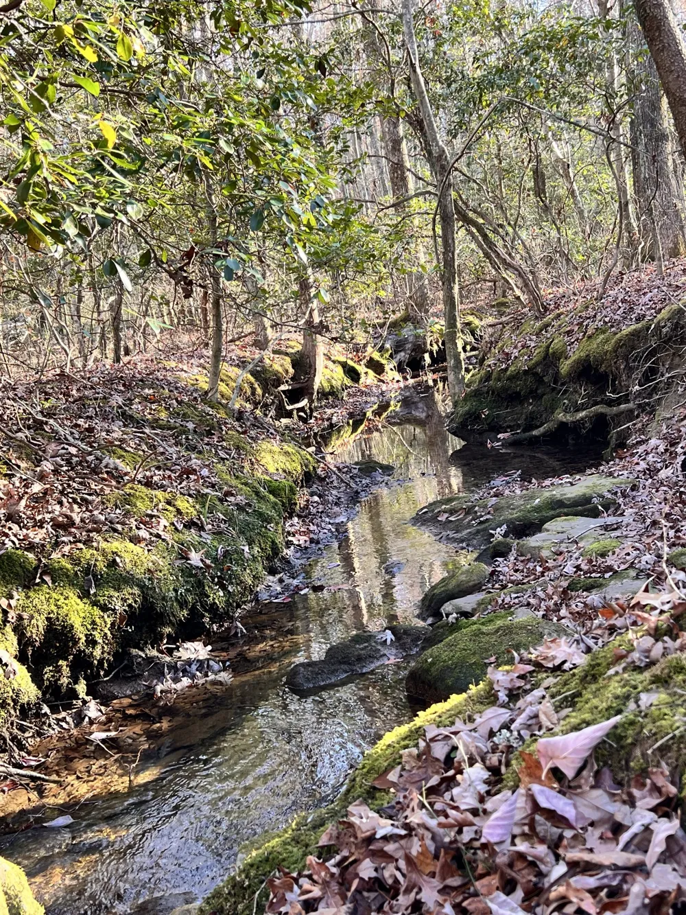 72 Lady Slipper Lane Monteagle, TN 37356