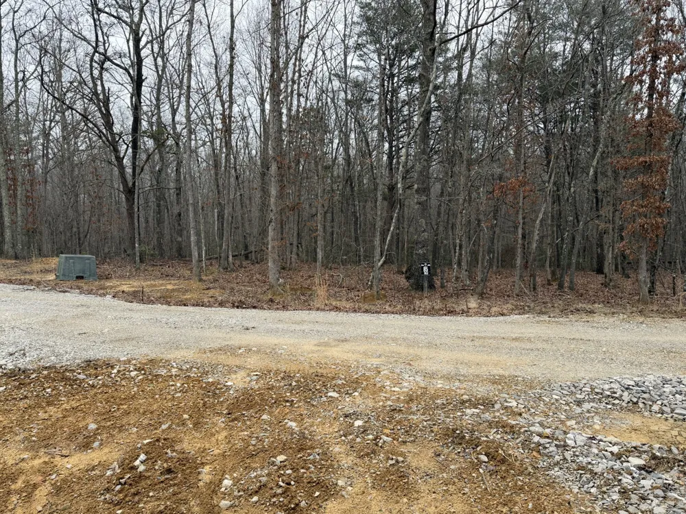 72 Lady Slipper Lane Monteagle, TN 37356