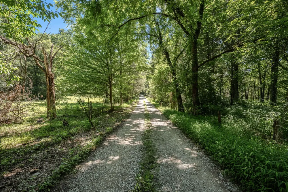 505 Philippi Rd Wartrace, TN 37183