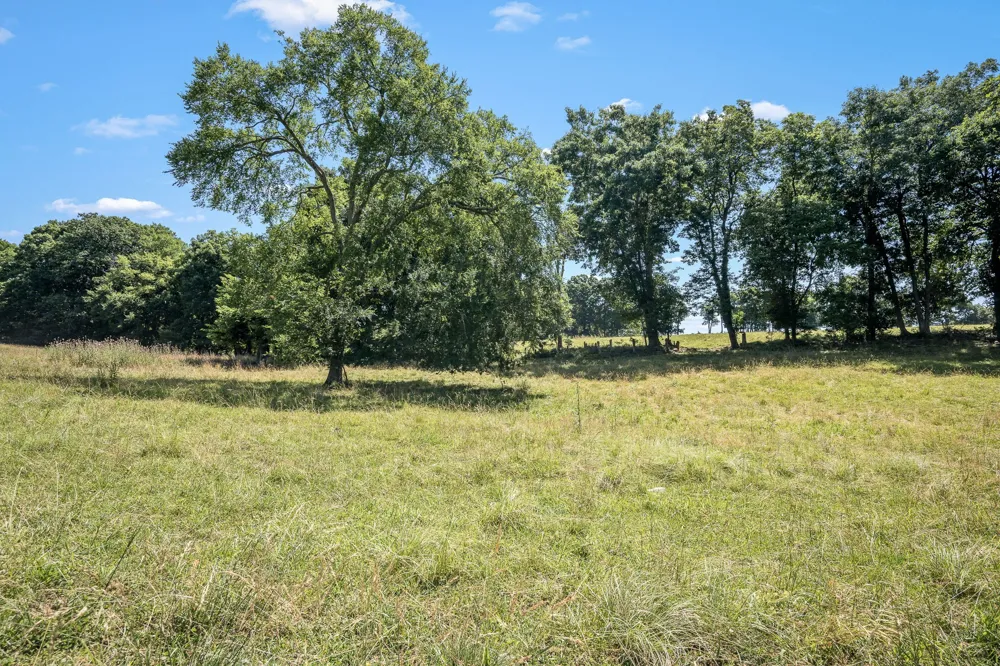 505 Philippi Rd Wartrace, TN 37183