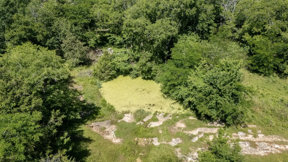505 Philippi Rd Wartrace, TN 37183