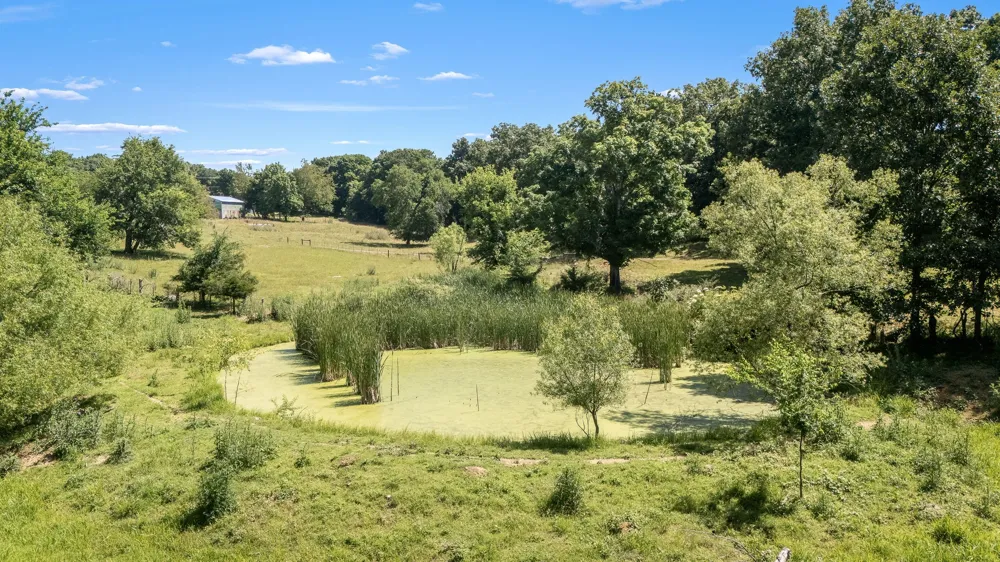 505 Philippi Rd Wartrace, TN 37183