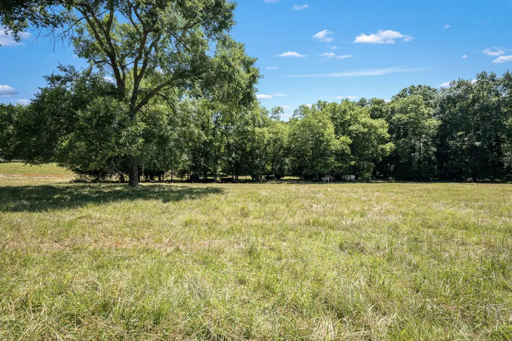 505 Philippi Rd Wartrace, TN 37183