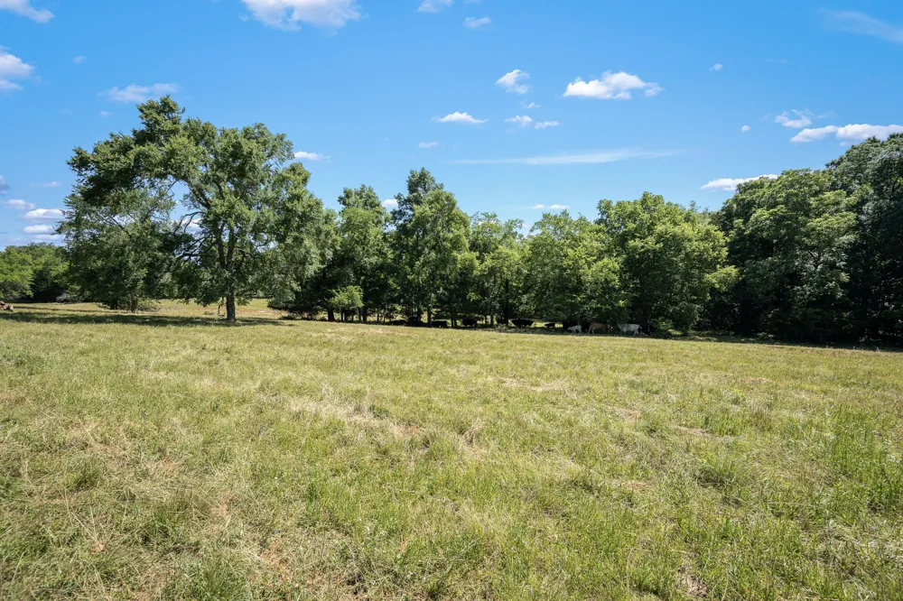 505 Philippi Rd Wartrace, TN 37183