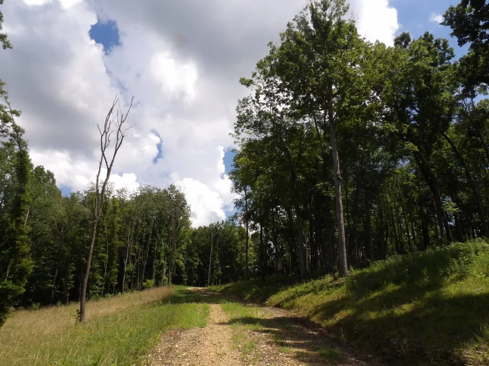 150 W John Davis Rd Westmoreland, TN 37186