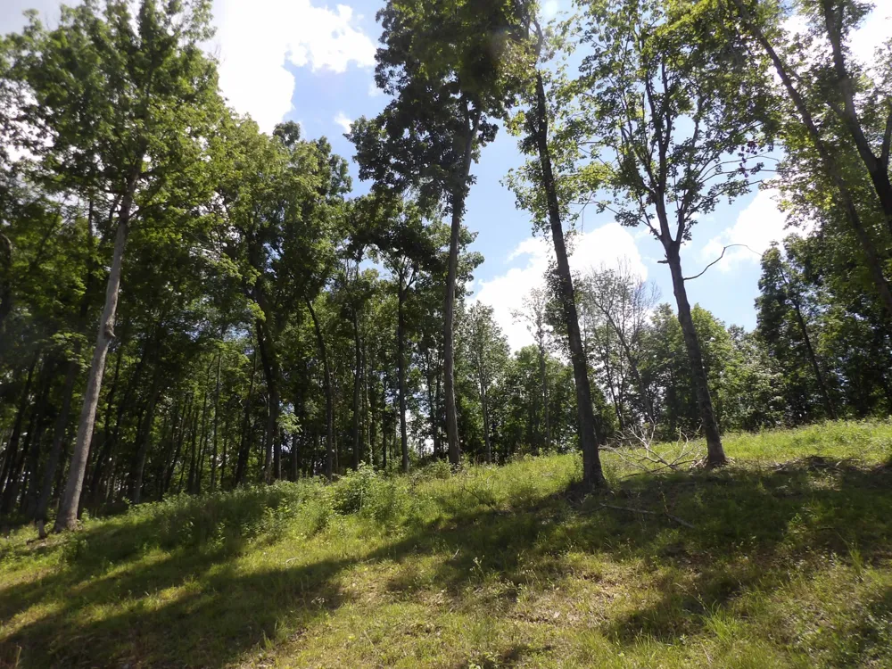150 W John Davis Rd Westmoreland, TN 37186