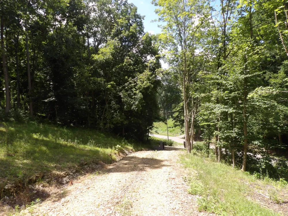 150 W John Davis Rd Westmoreland, TN 37186