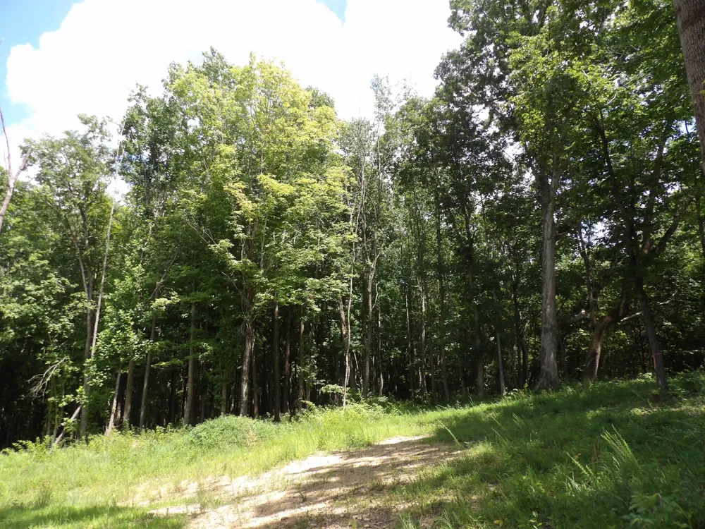 150 W John Davis Rd Westmoreland, TN 37186