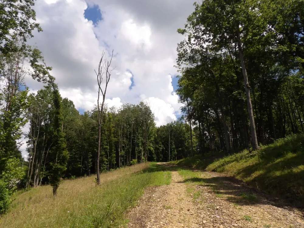 150 W John Davis Rd Westmoreland, TN 37186