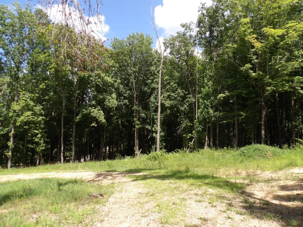 150 W John Davis Rd Westmoreland, TN 37186