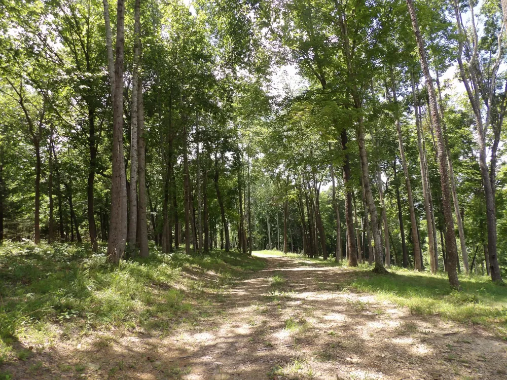 150 W John Davis Rd Westmoreland, TN 37186