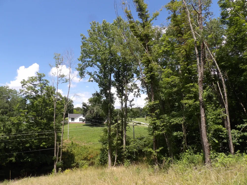 150 W John Davis Rd Westmoreland, TN 37186