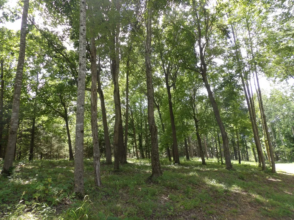 150 W John Davis Rd Westmoreland, TN 37186
