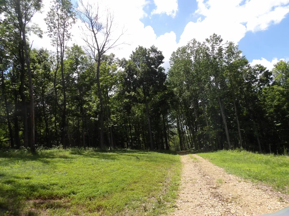 150 W John Davis Rd Westmoreland, TN 37186