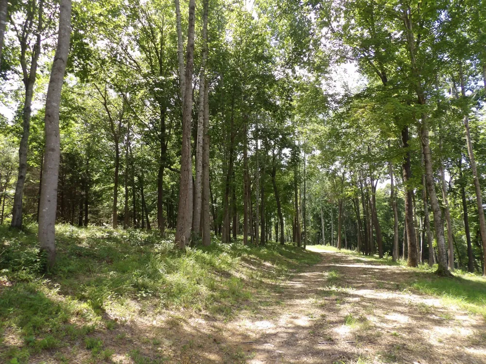 150 W John Davis Rd Westmoreland, TN 37186