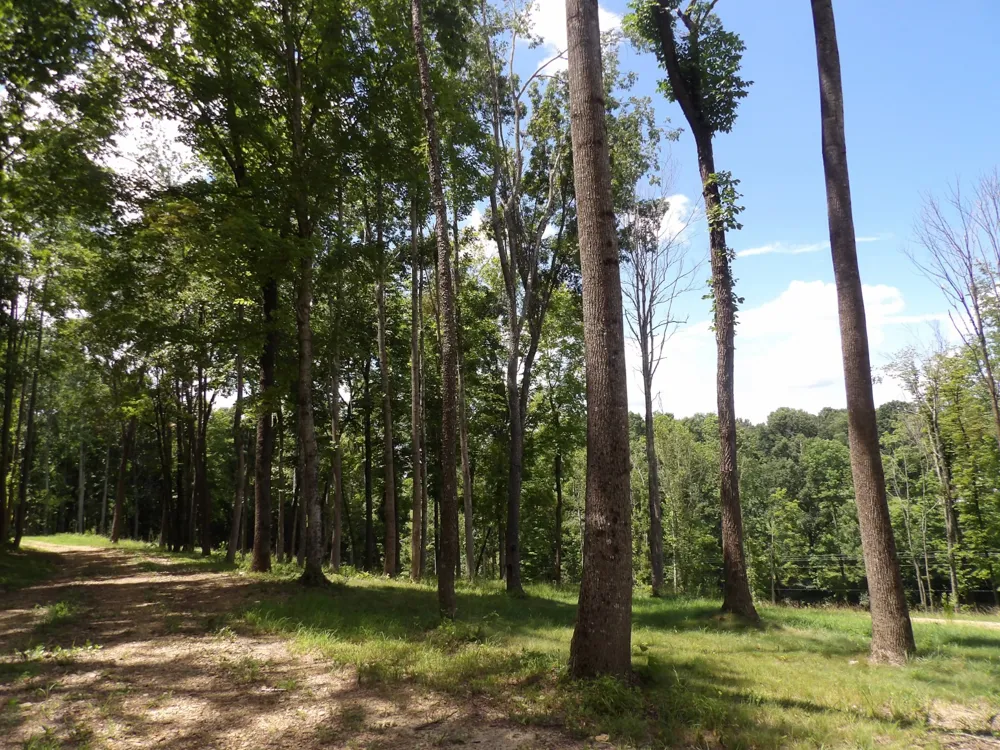 150 W John Davis Rd Westmoreland, TN 37186