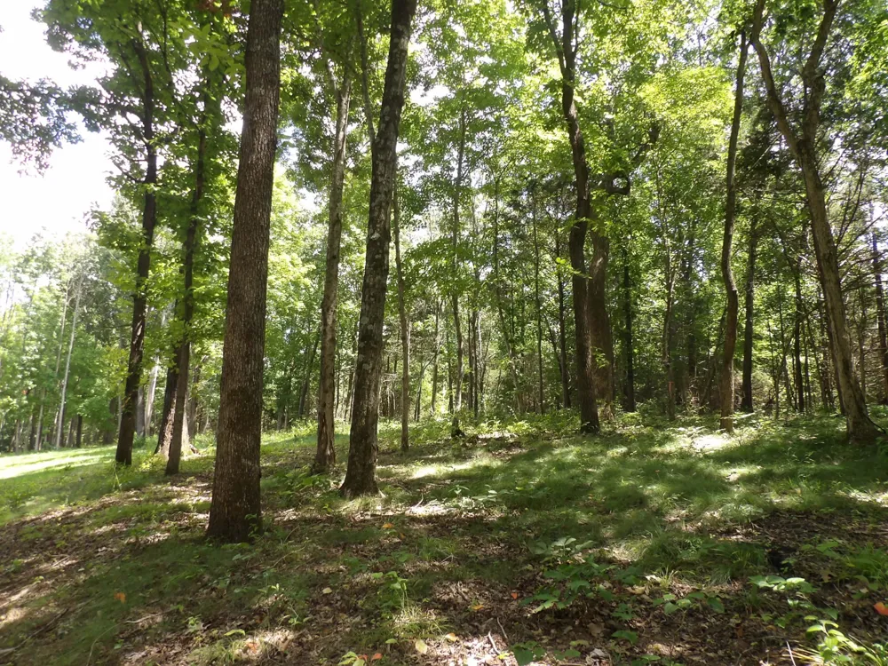 150 W John Davis Rd Westmoreland, TN 37186