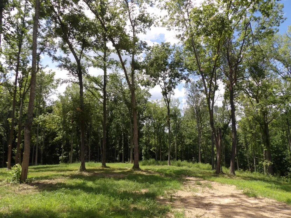 150 W John Davis Rd Westmoreland, TN 37186