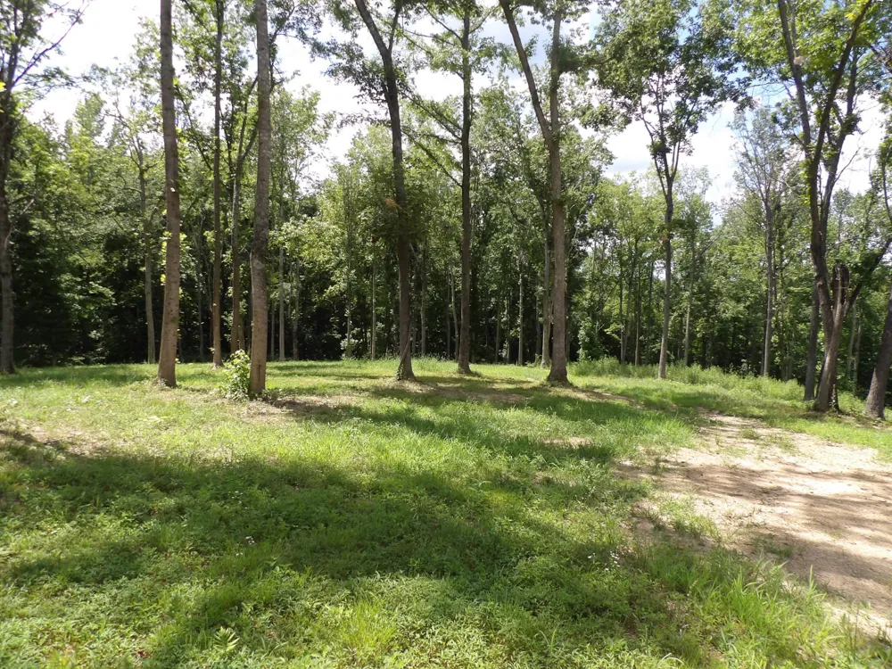 150 W John Davis Rd Westmoreland, TN 37186