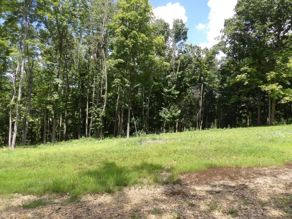 150 W John Davis Rd Westmoreland, TN 37186