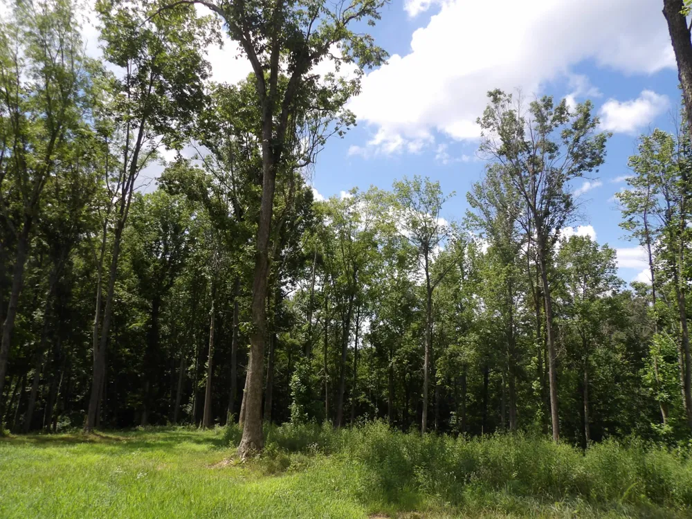 150 W John Davis Rd Westmoreland, TN 37186