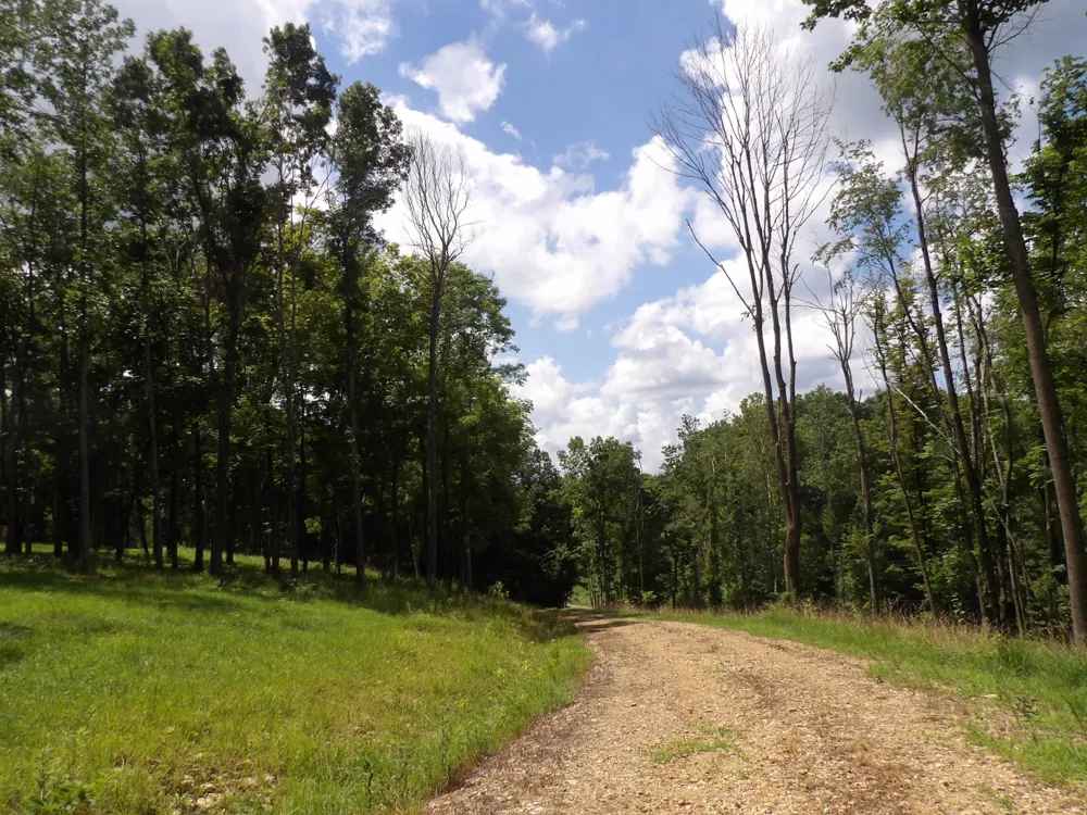 150 W John Davis Rd Westmoreland, TN 37186