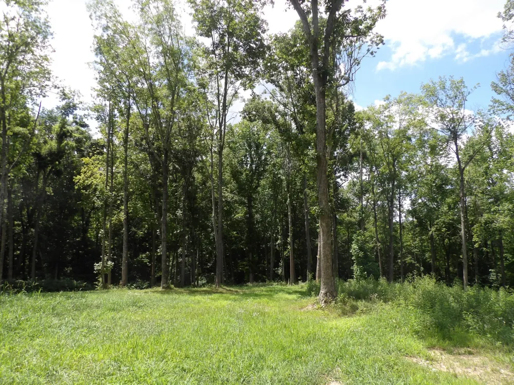 150 W John Davis Rd Westmoreland, TN 37186