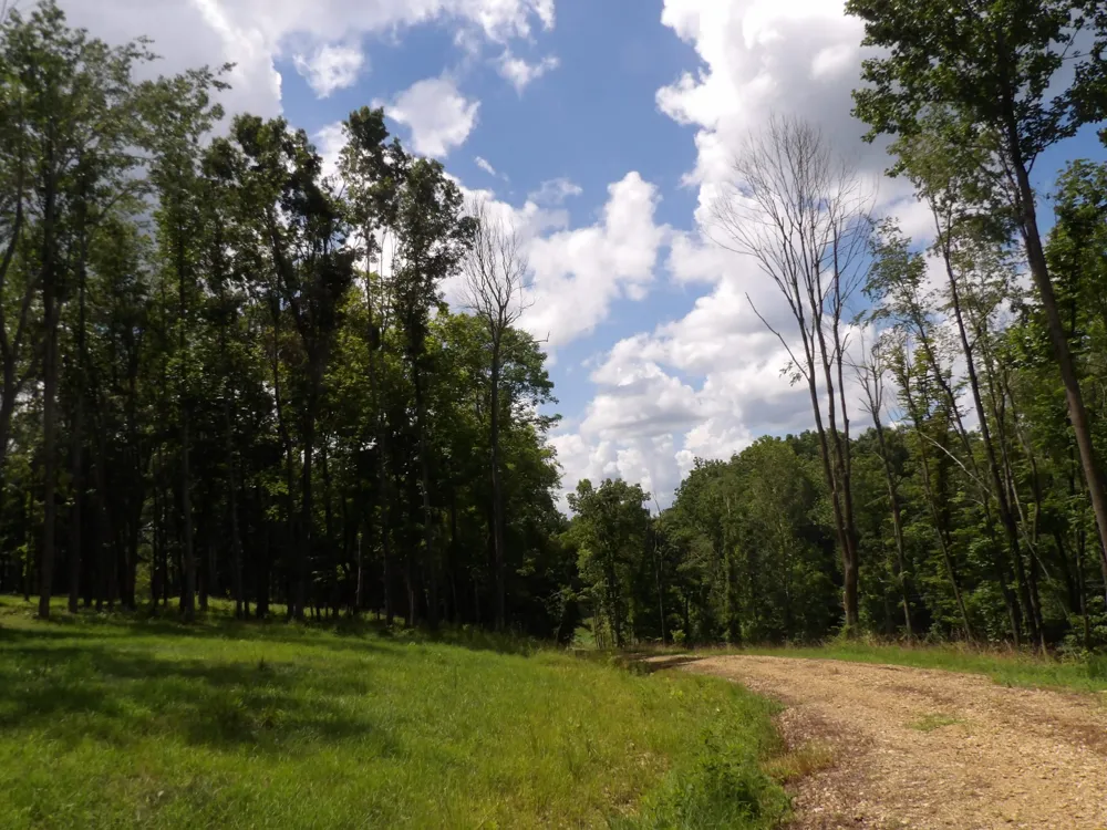 150 W John Davis Rd Westmoreland, TN 37186